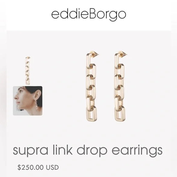 Eddie Borgo Supra Link Drop Earrings - Picture 6 of 6